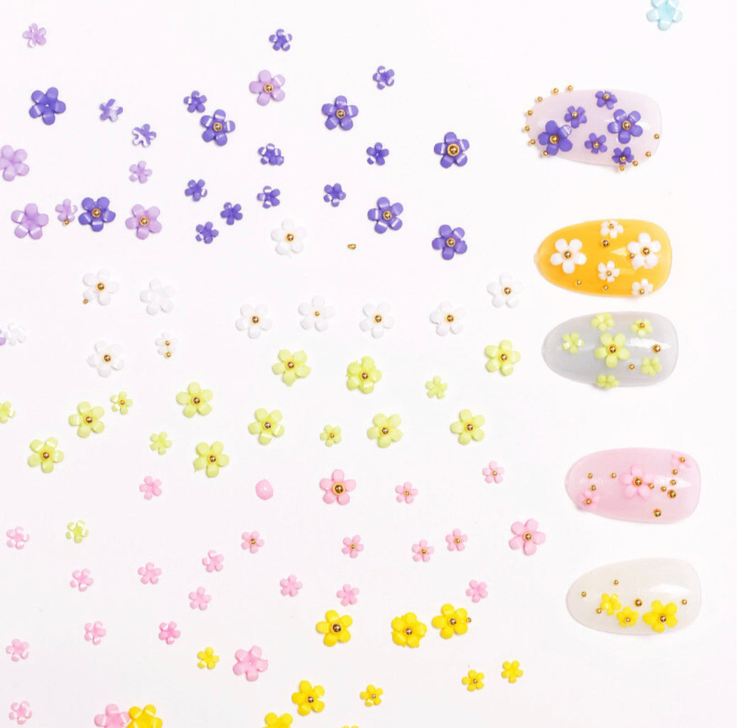 3D - 5 Petal Flowers 3D