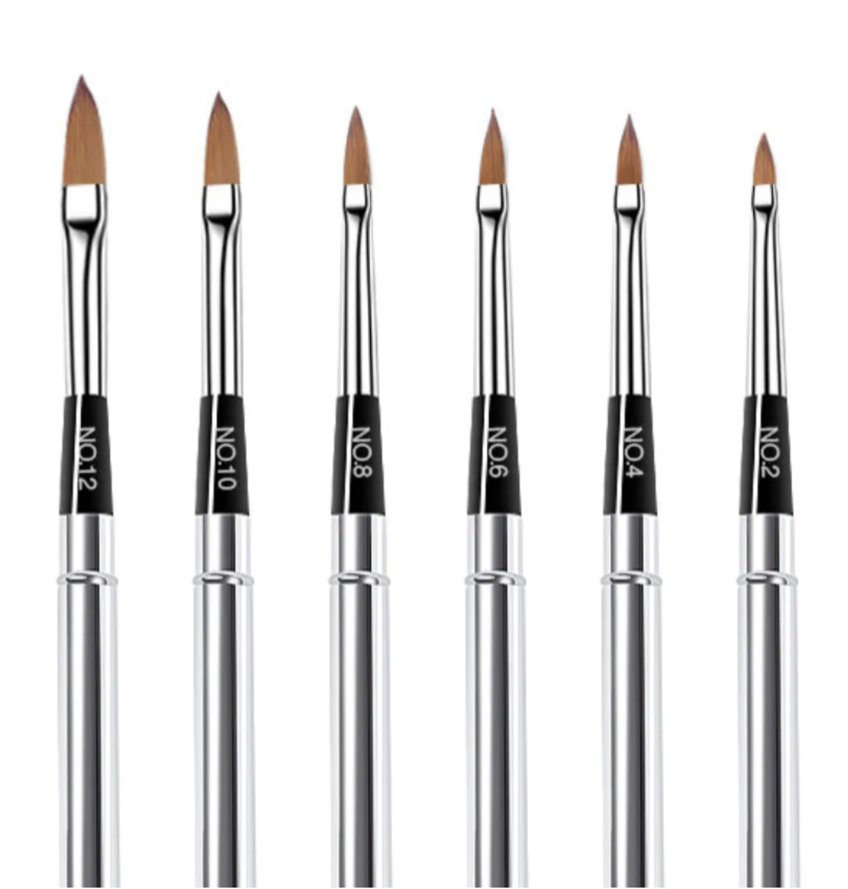 Acrylic brush Set - 6 pcs