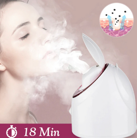 NANO IONIC FACIAL STEAMER