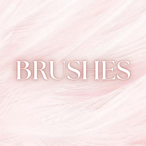 BRUSHES