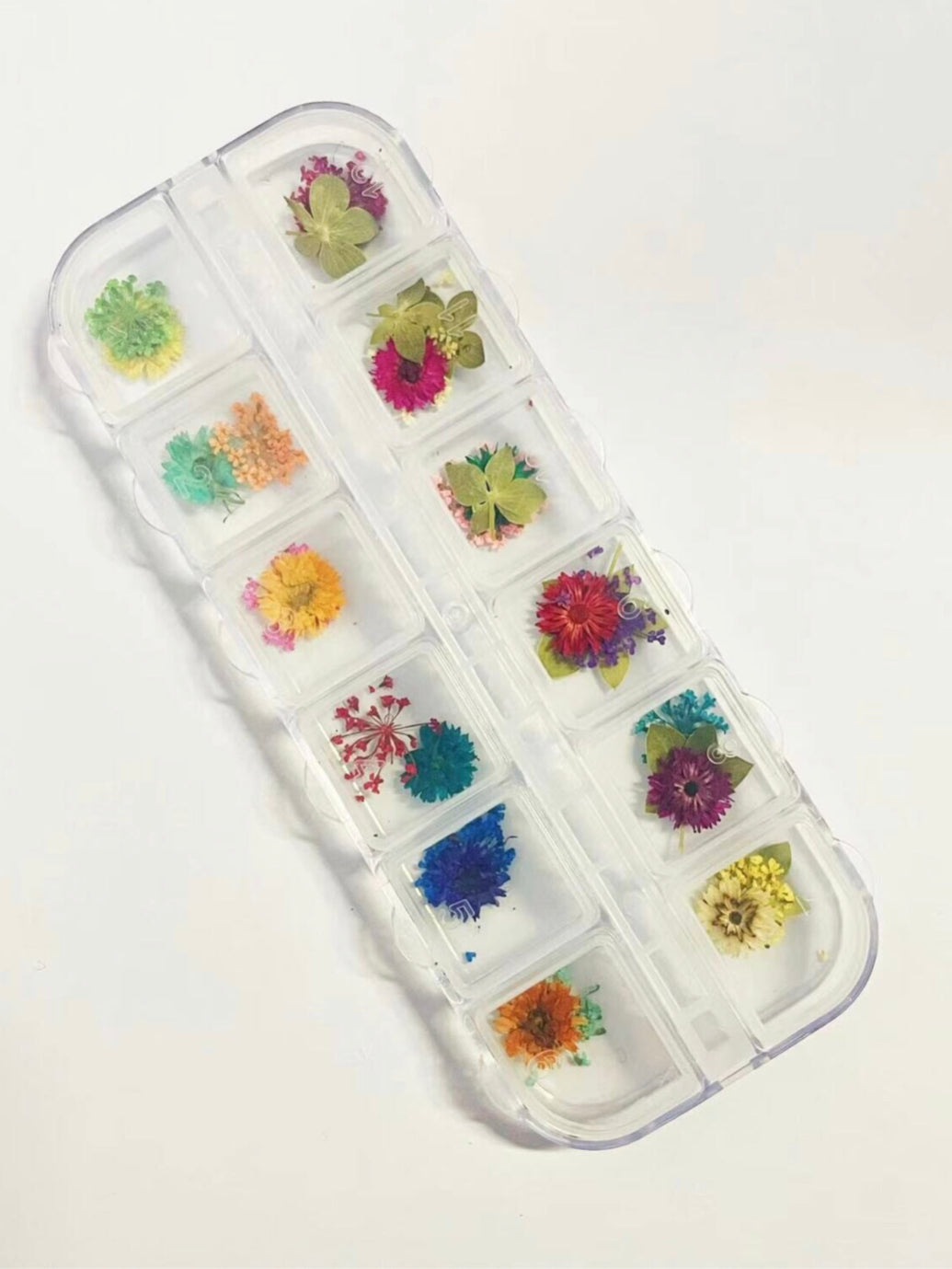 Dry Flower - 06